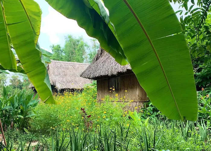 Saigon Garden Homestay